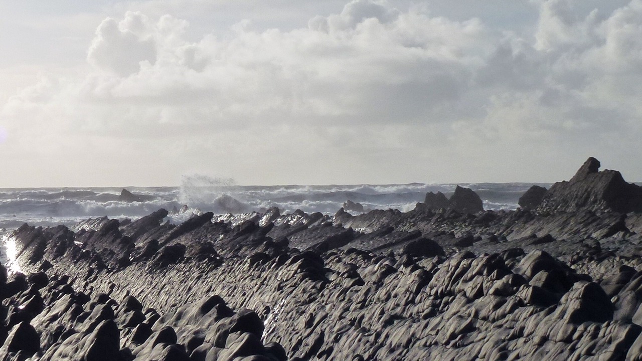Photo of Others in Bude