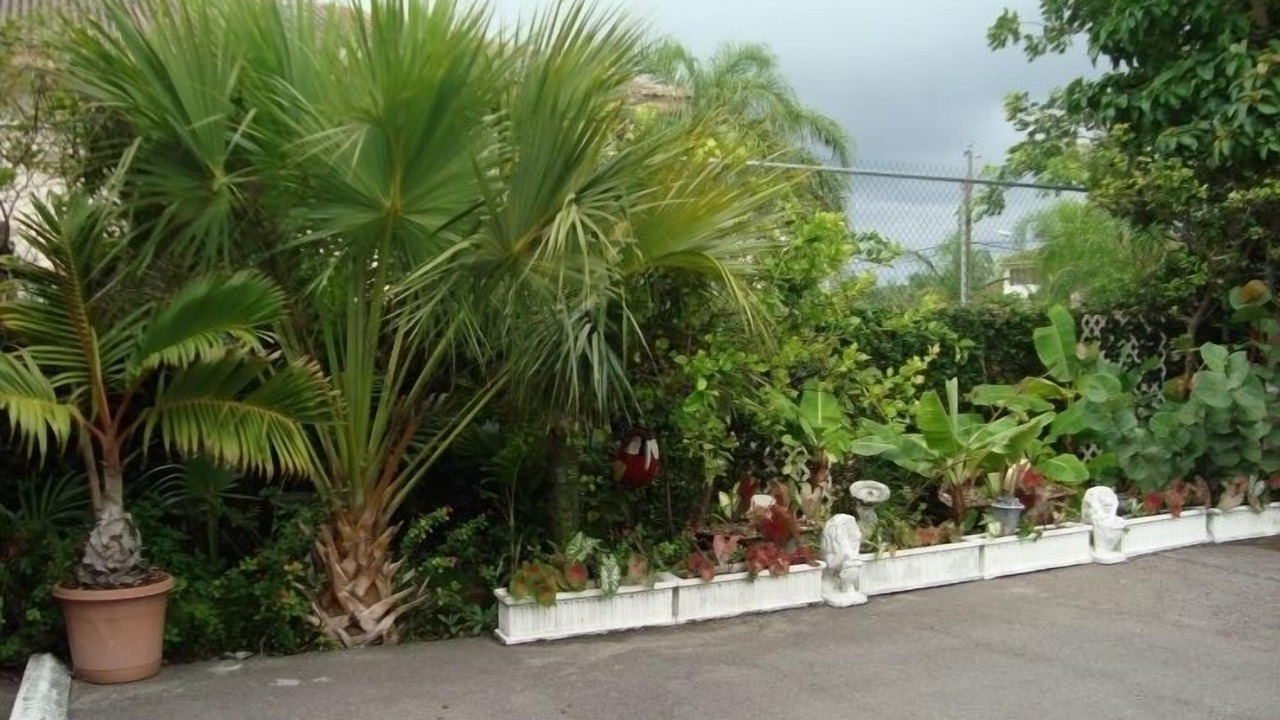 Photo of Others in Nassau