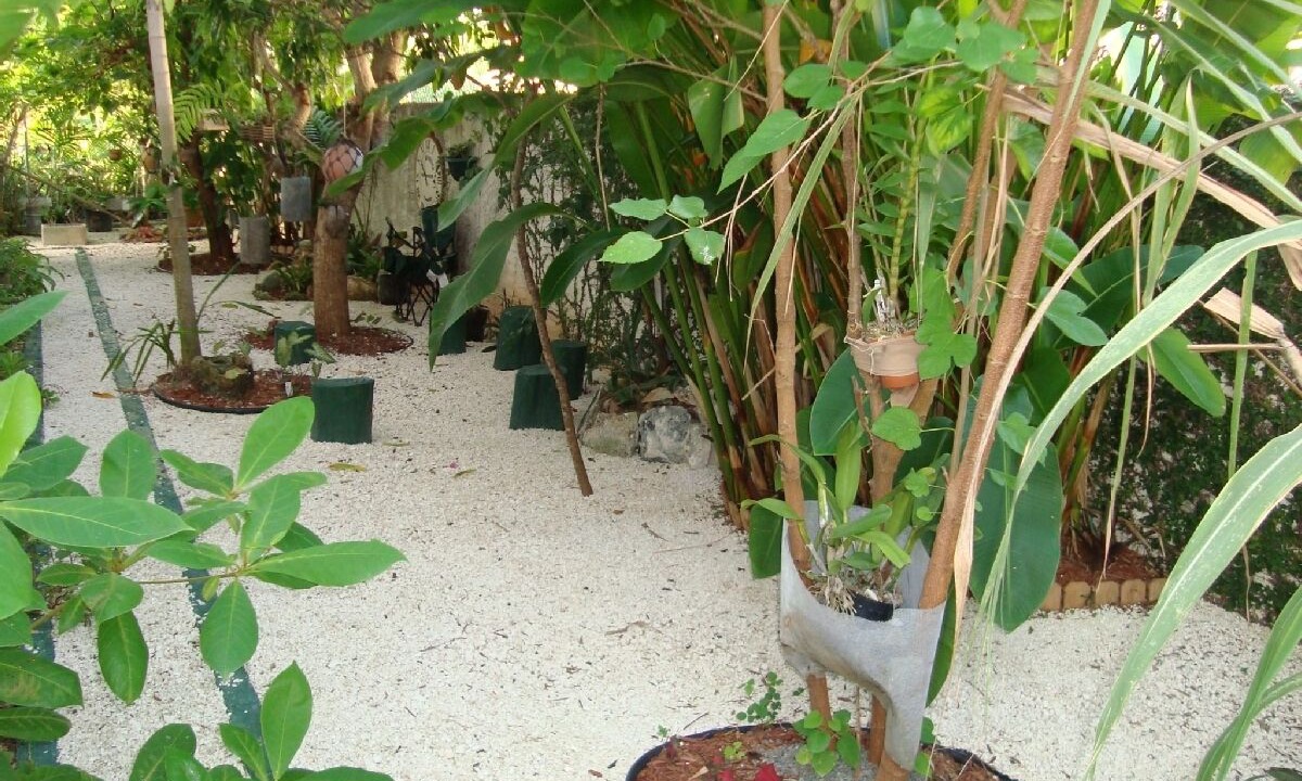 Photo of Outdoor in Nassau
