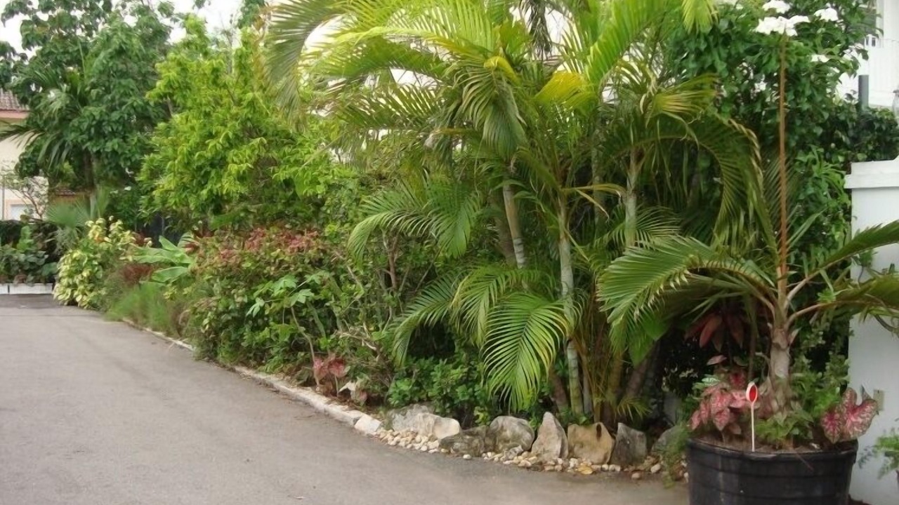 Photo of Outdoor in Nassau