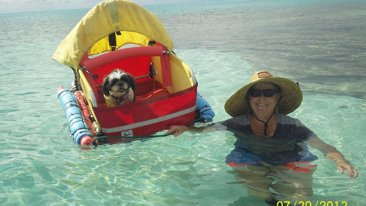 Photo of Others in Port Royal