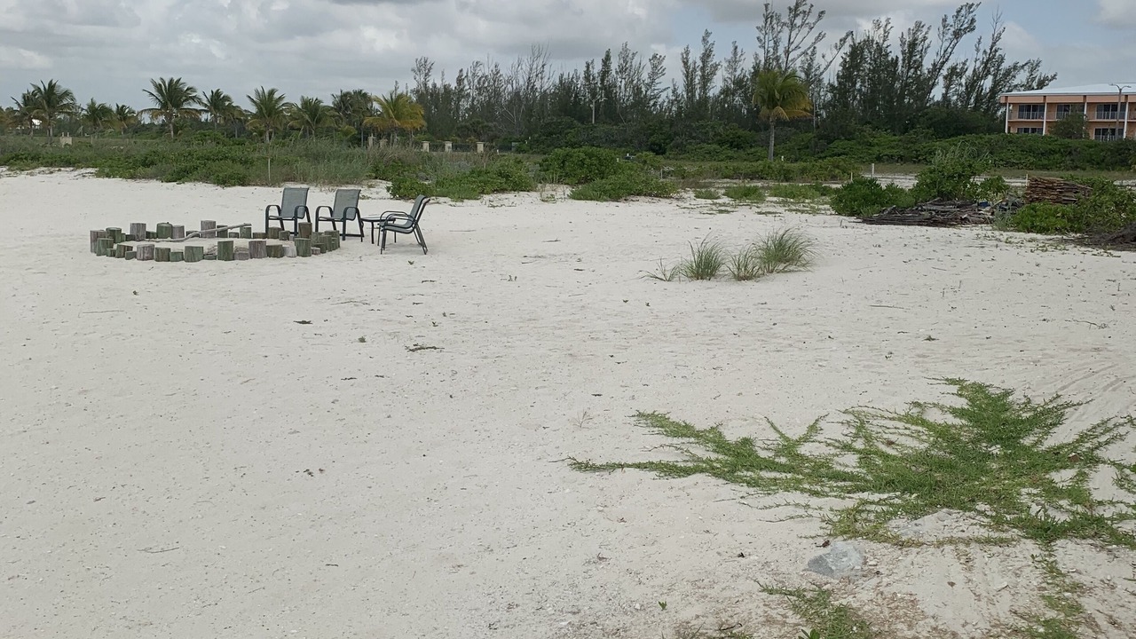 Photo of Others in Freeport