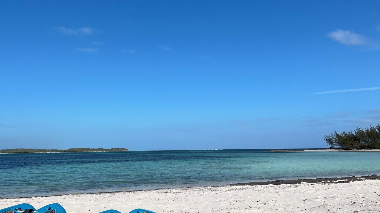 Photo of Others in Winding Bay