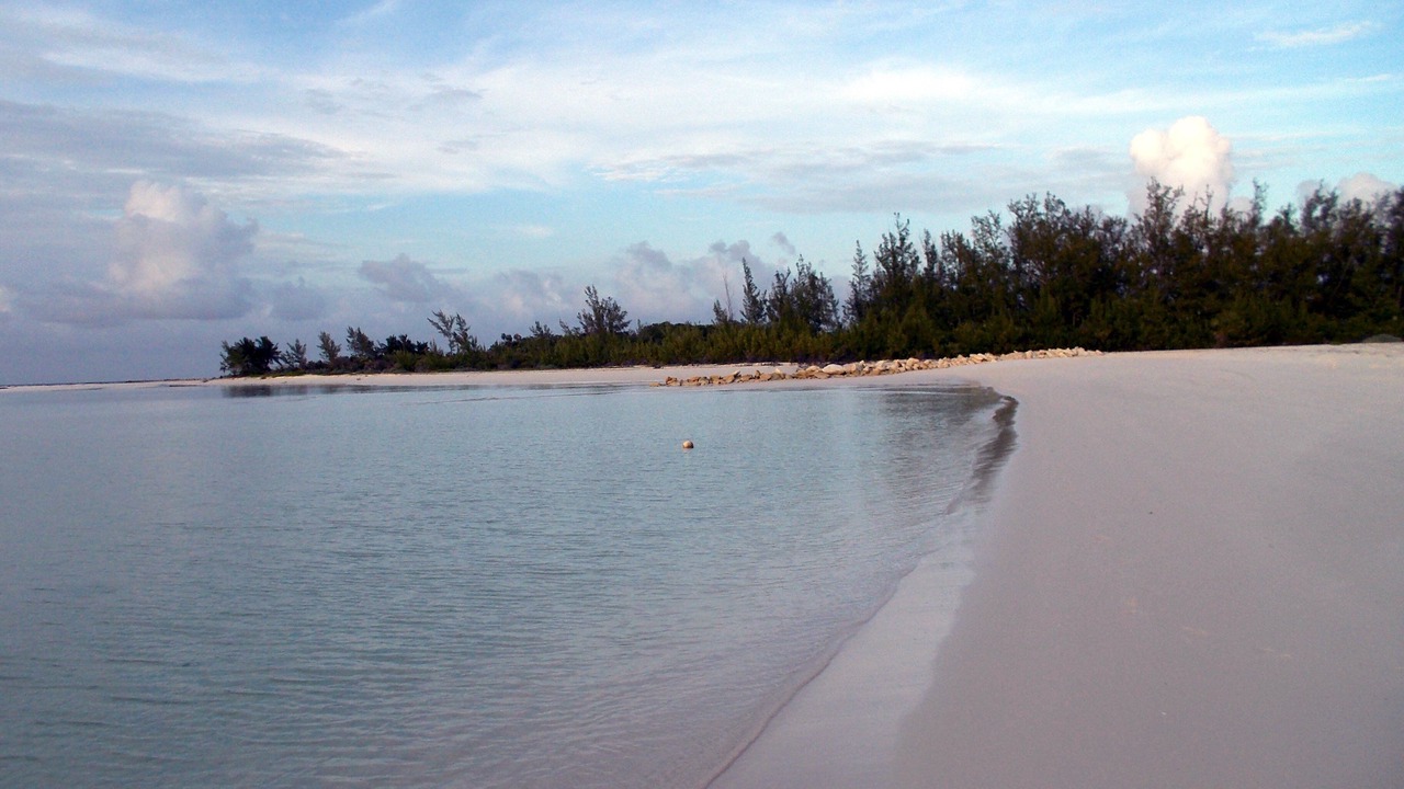 Photo of Others in Winding Bay