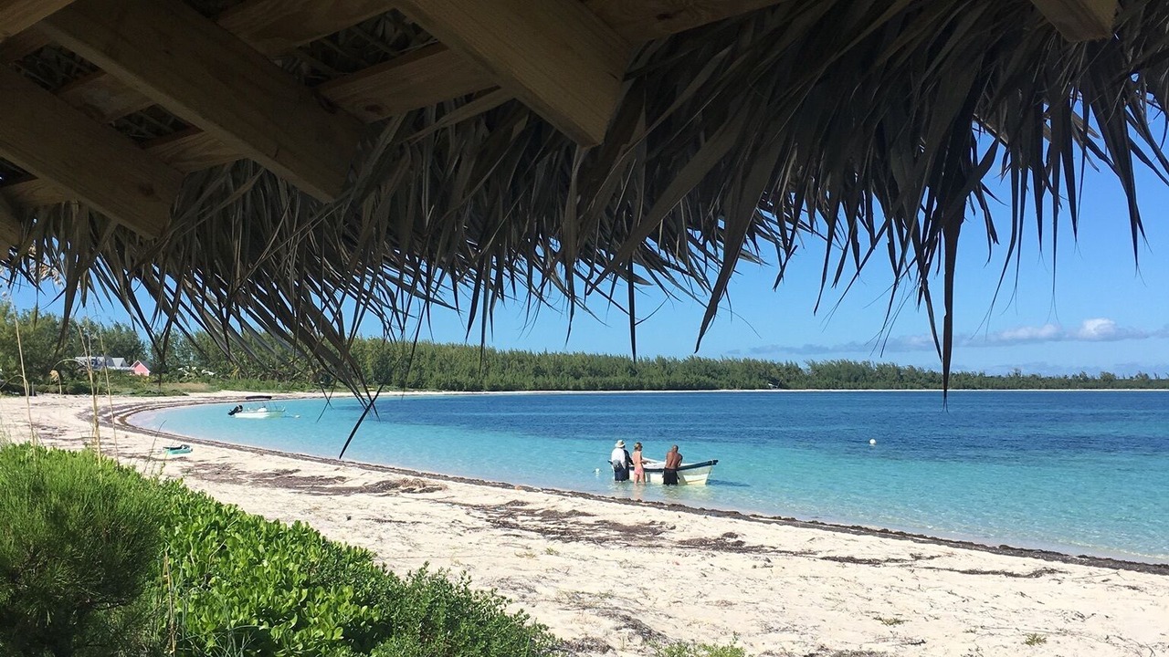 Photo of Others in Winding Bay