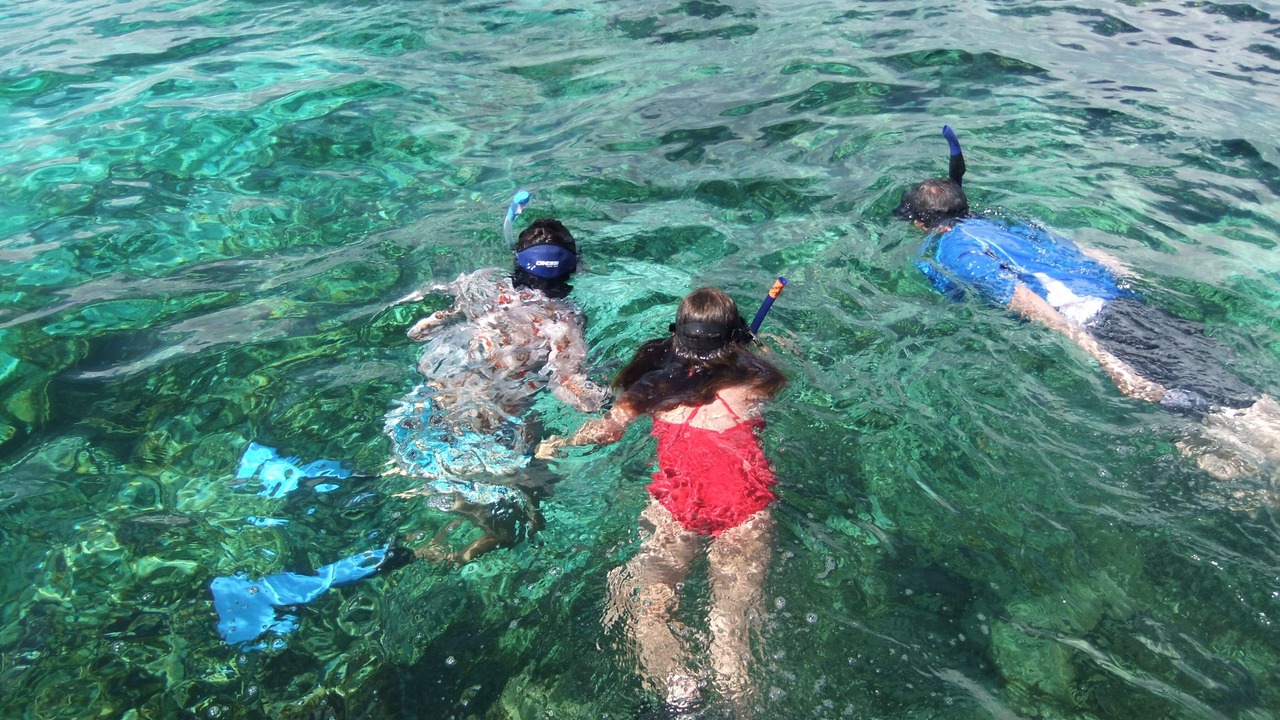 Photo of Others in Winding Bay
