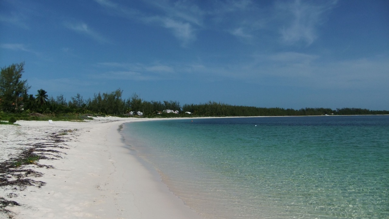 Photo of Others in Winding Bay
