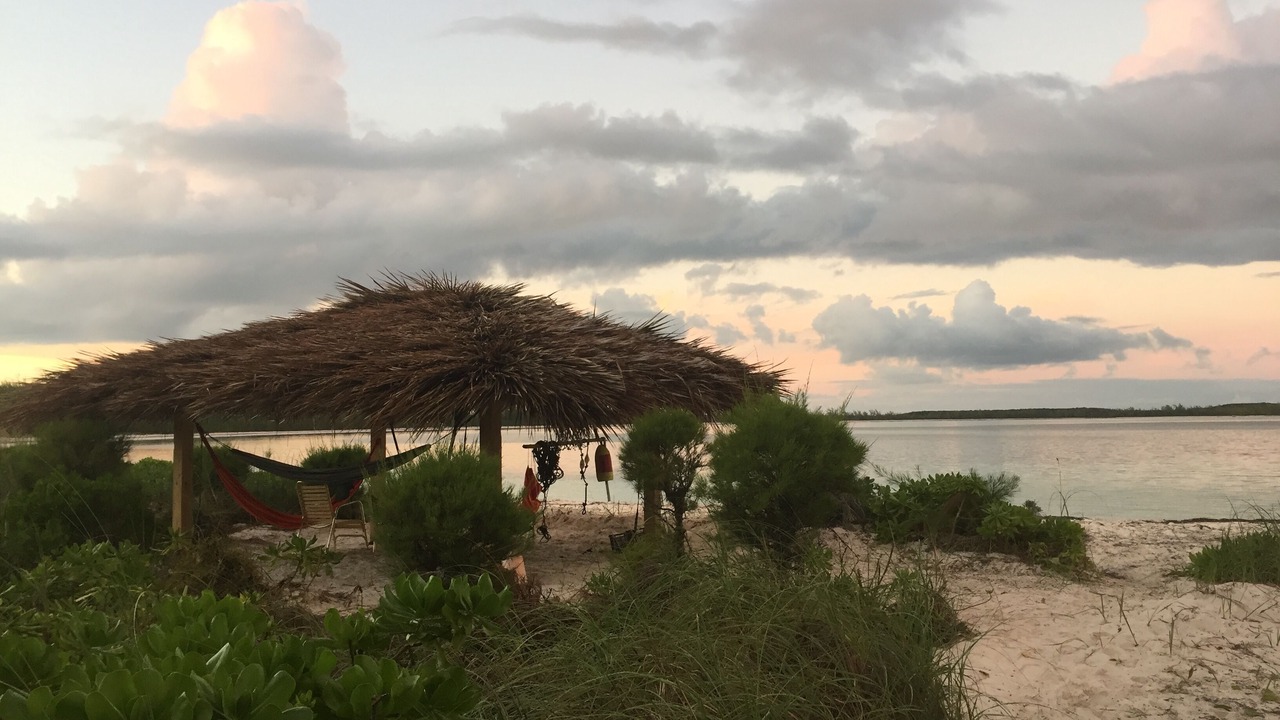 Photo of Others in Winding Bay