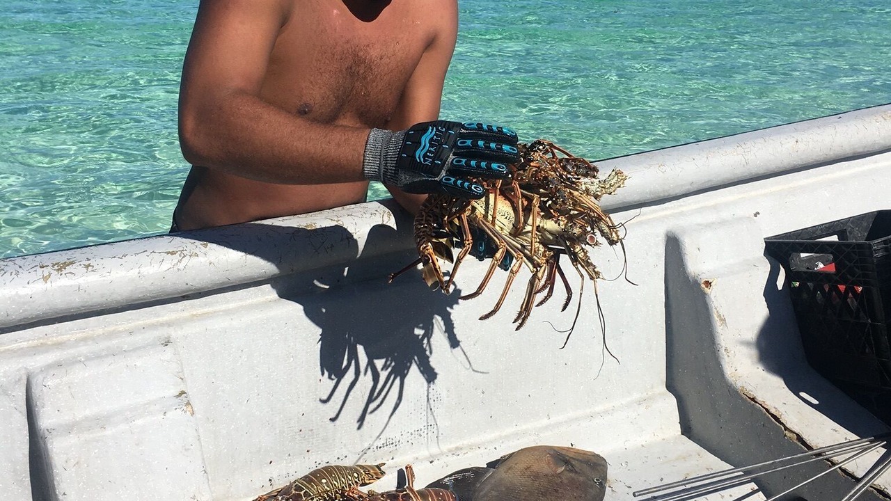 Photo of Outdoor in Winding Bay