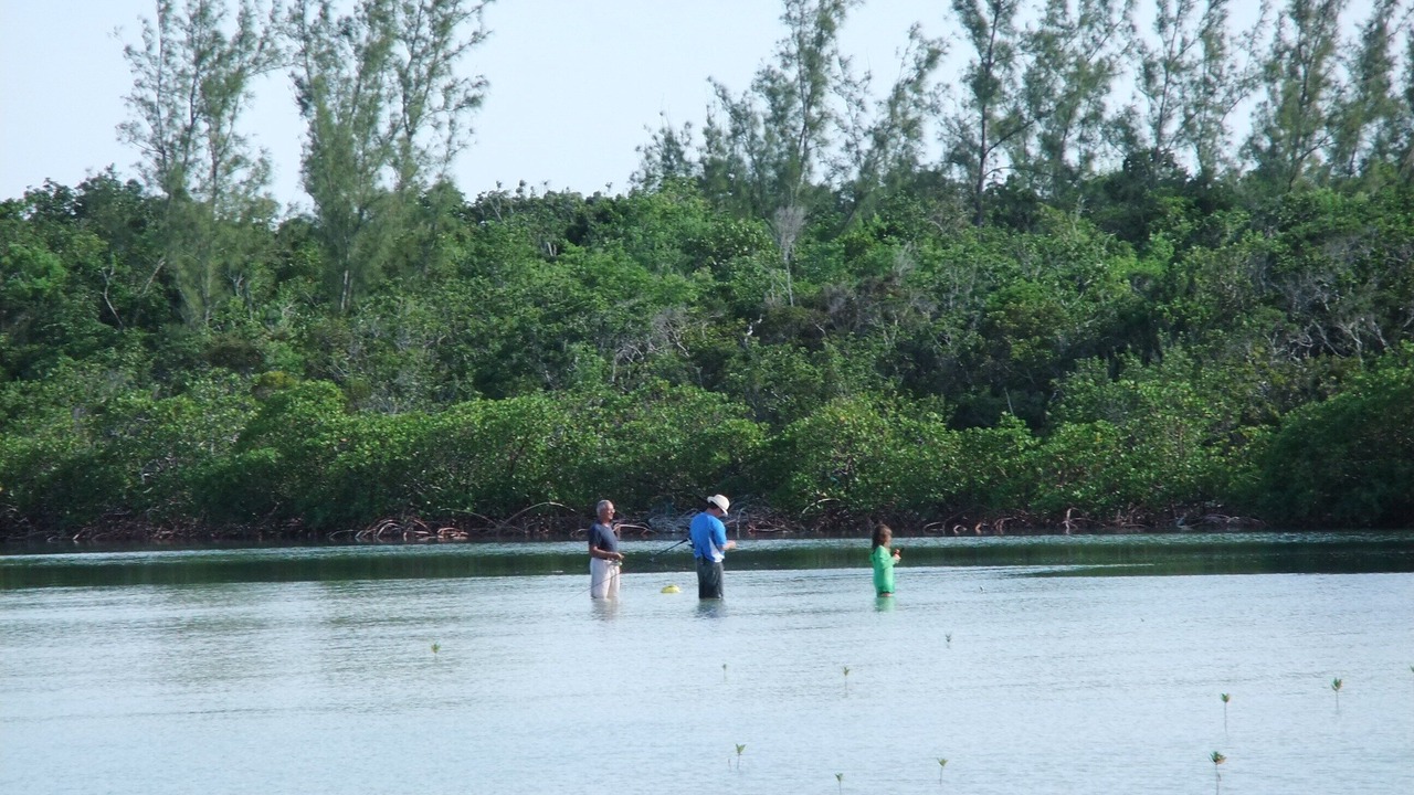 Photo of Outdoor in Winding Bay