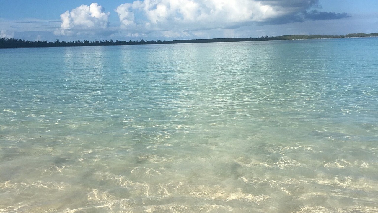 Photo of Others in Winding Bay