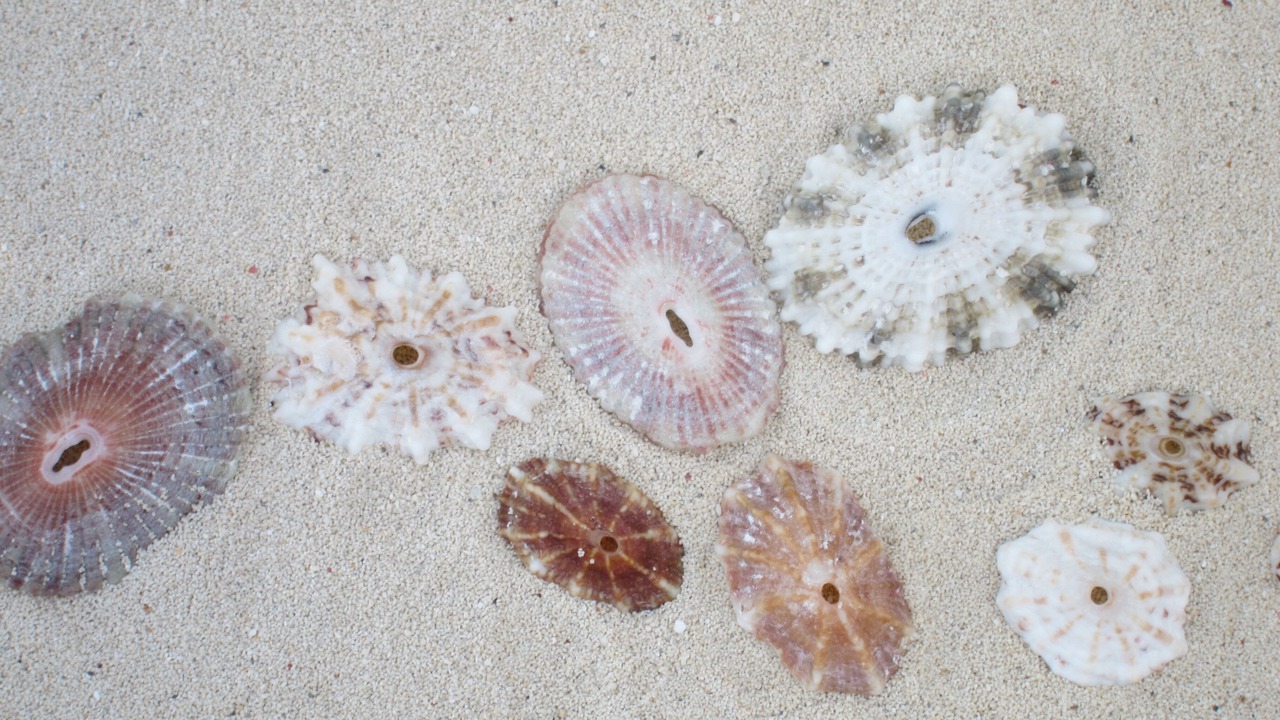 Photo of Others in Great Exuma