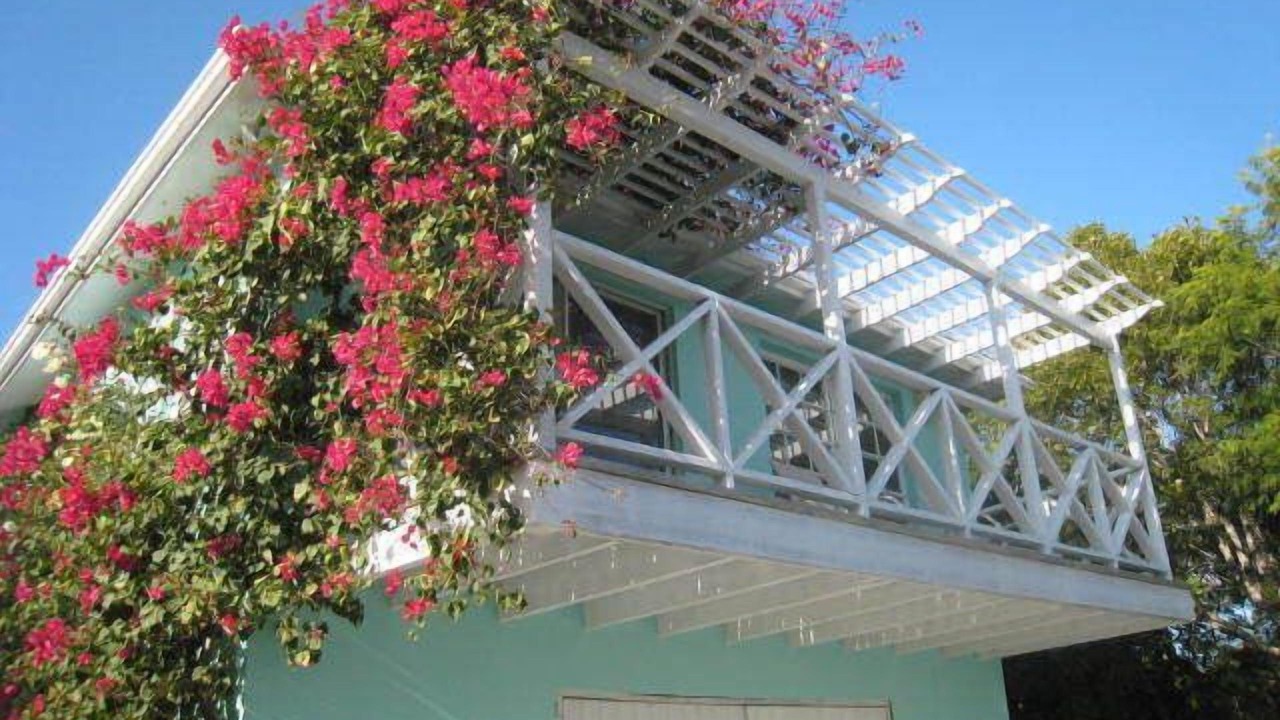 Photo of Outdoor in Great Exuma