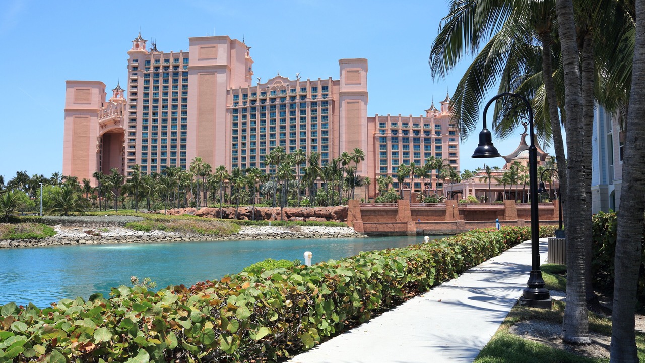 Photo of Others in Paradise Island