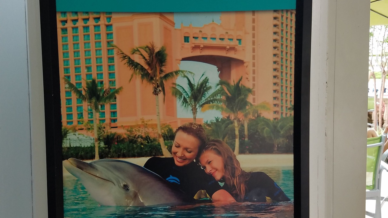 Photo of Others in Paradise Island