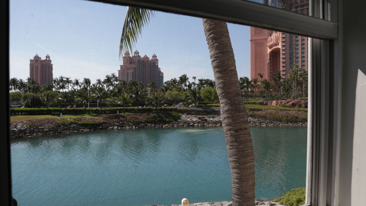 Photo of Others in Paradise Island