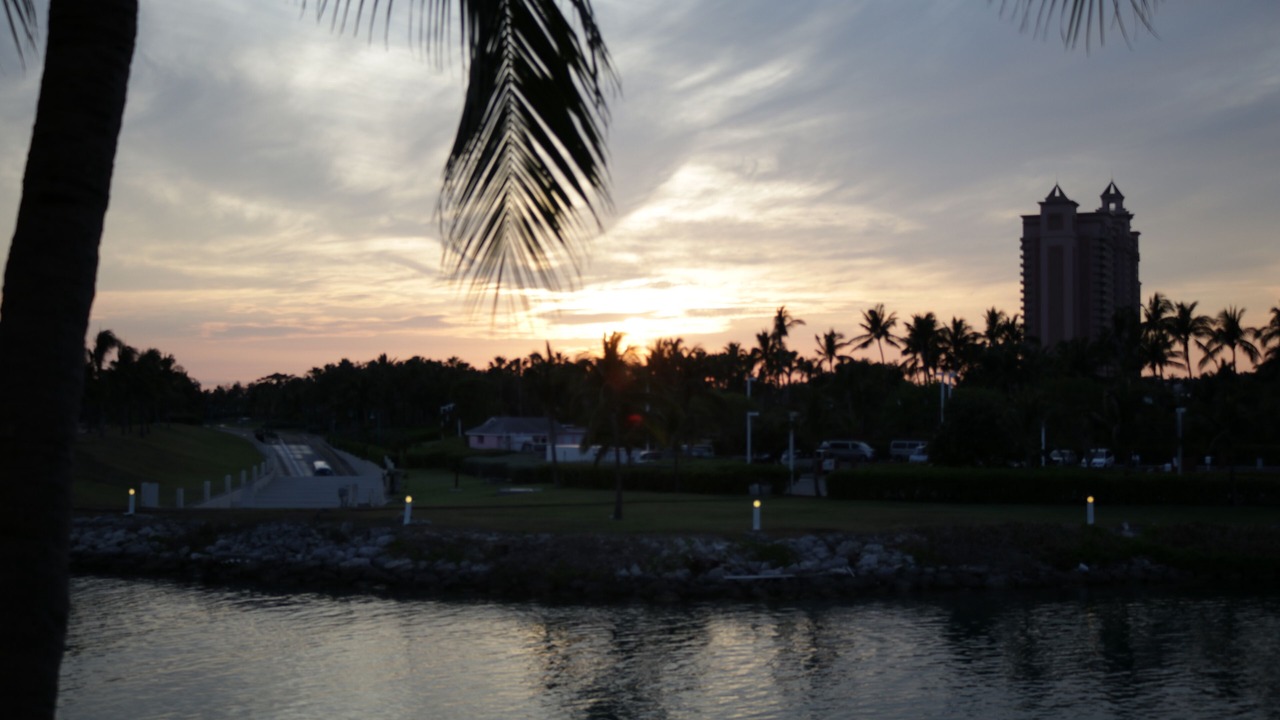 Photo of Others in Paradise Island