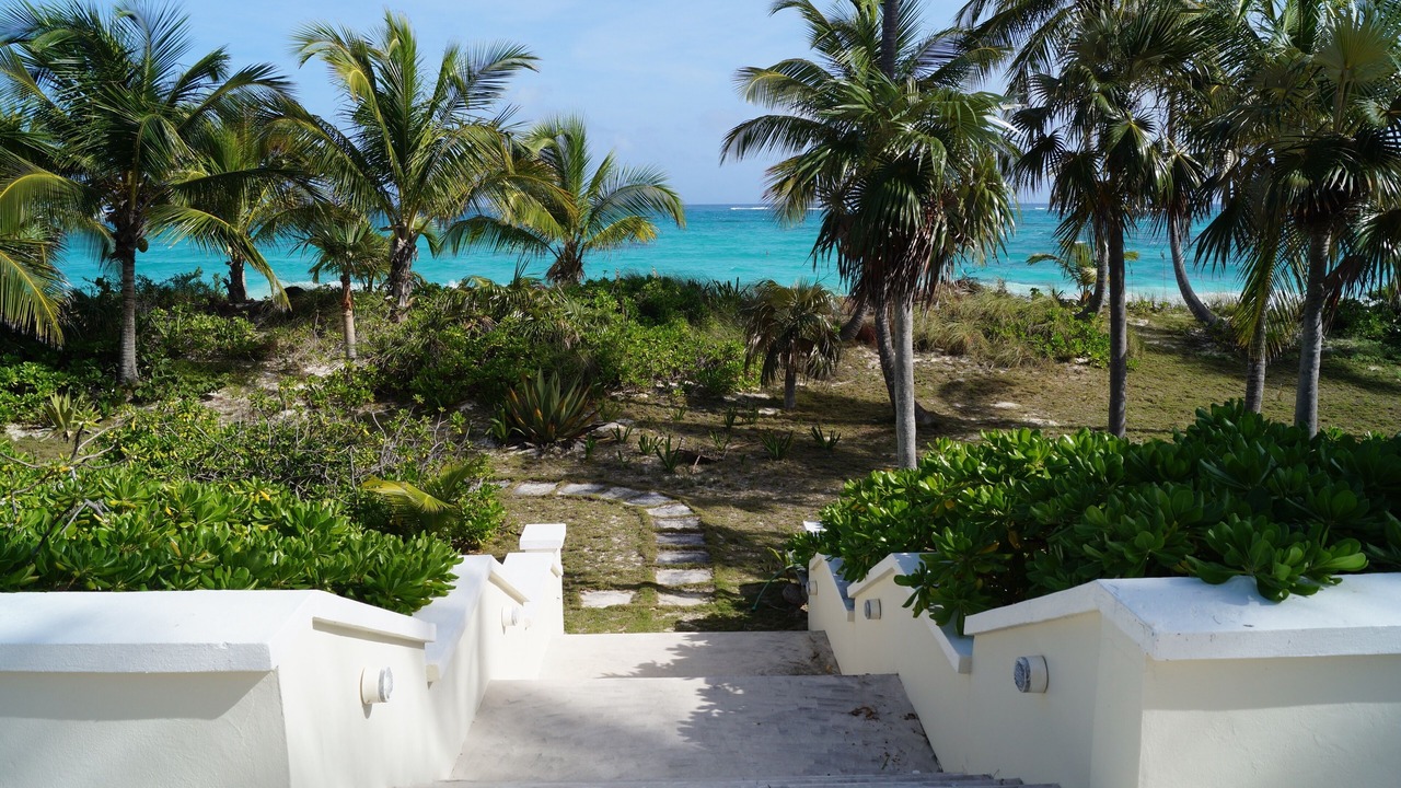 Photo of Outdoor in Double Bay