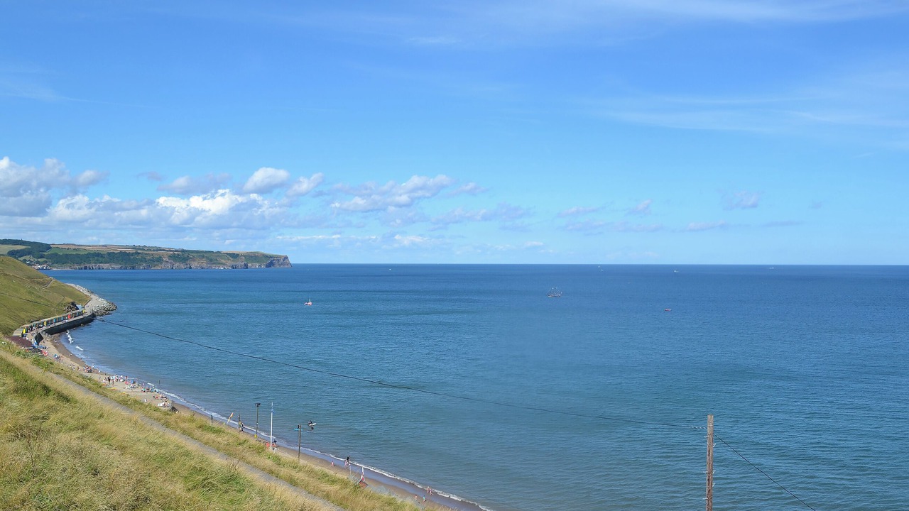 Photo of Others in West Cliff