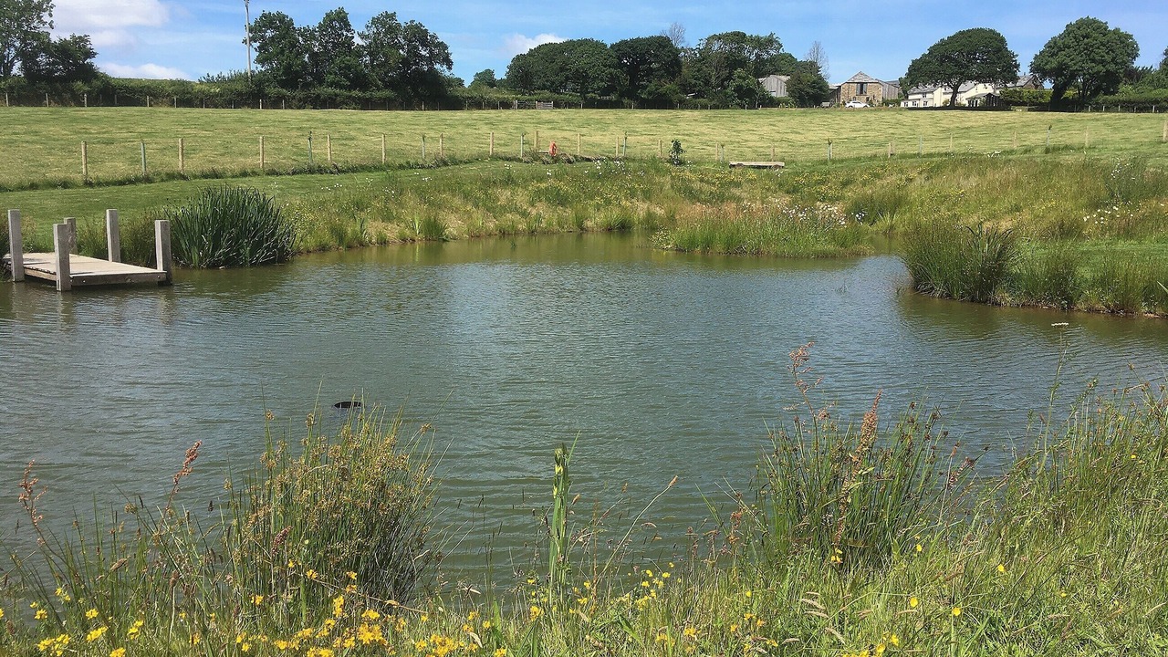 Photo of Outdoor in Brazzacott