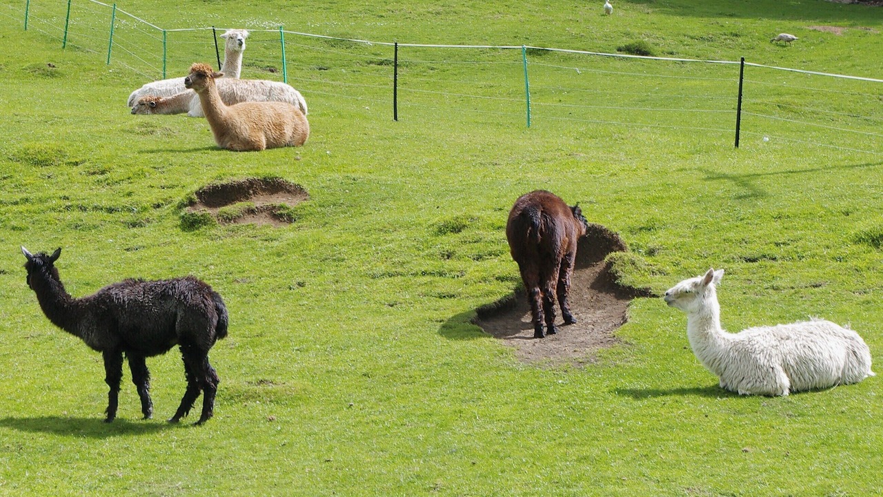 Photo of Others in Rendcomb