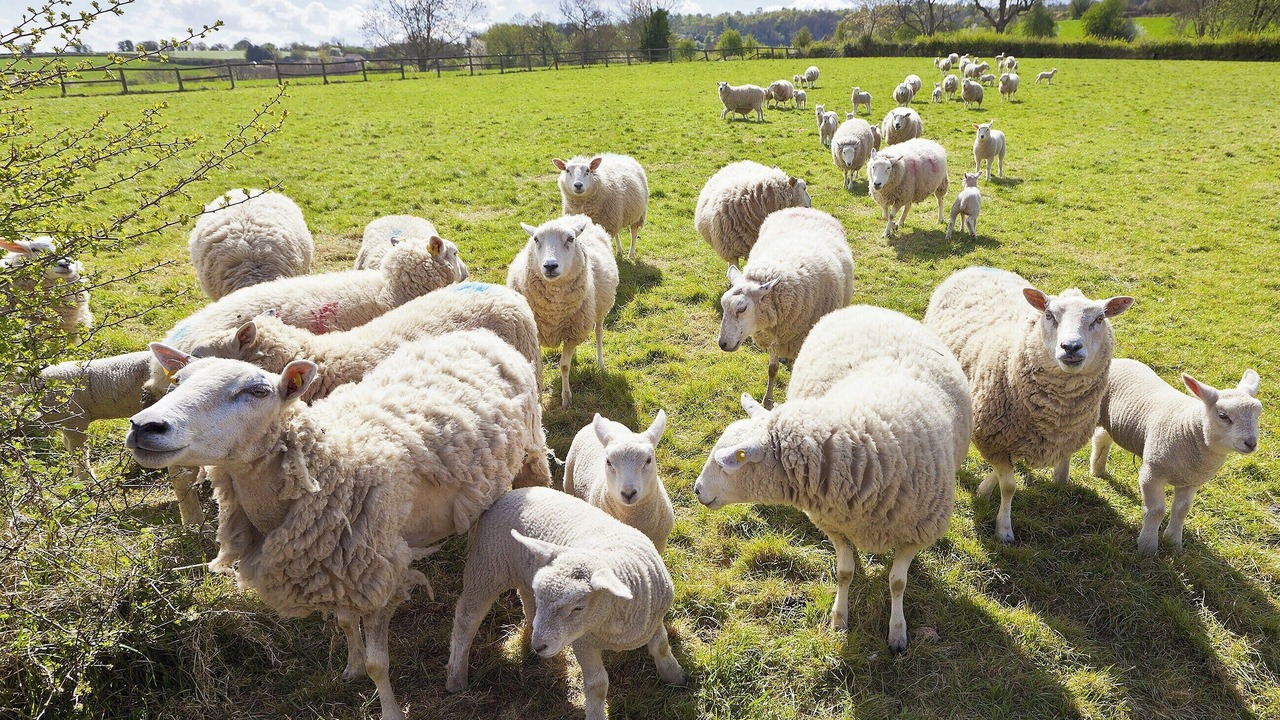 Photo of Others in Rendcomb