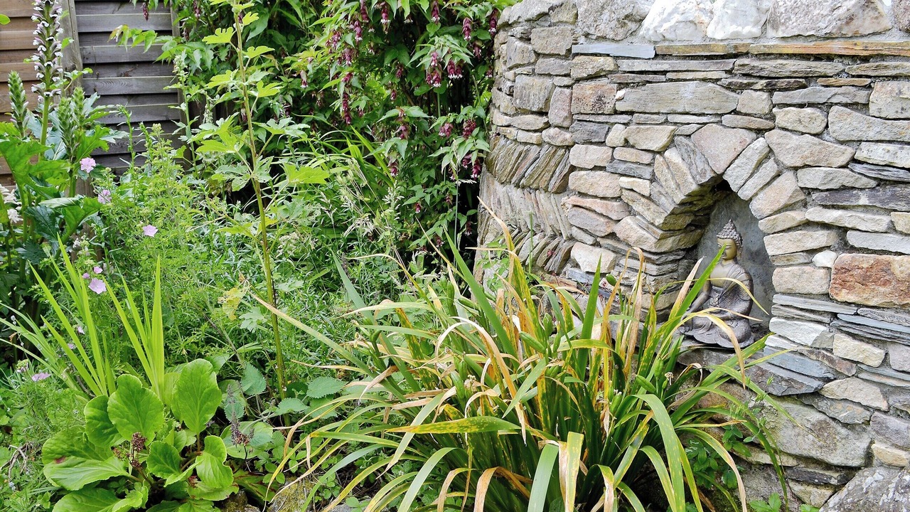 Photo of Outdoor in St Teath