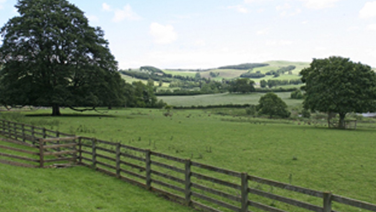 Photo of Outdoor in Kelso