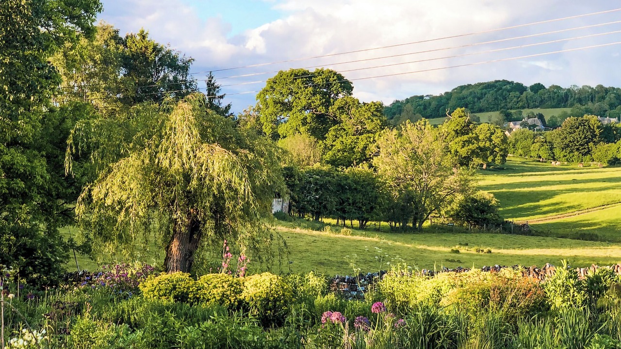 Photo of Outdoor in Cheltenham