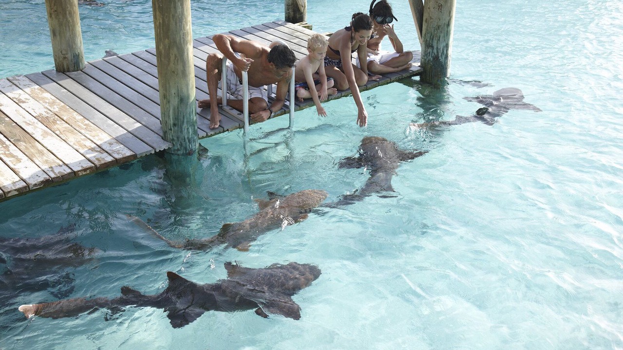 Photo of Outdoor in Downtown Nassau