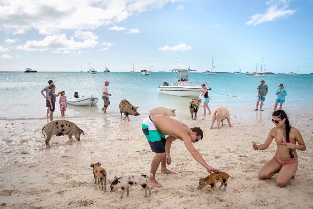 Photo of Others in Downtown Nassau