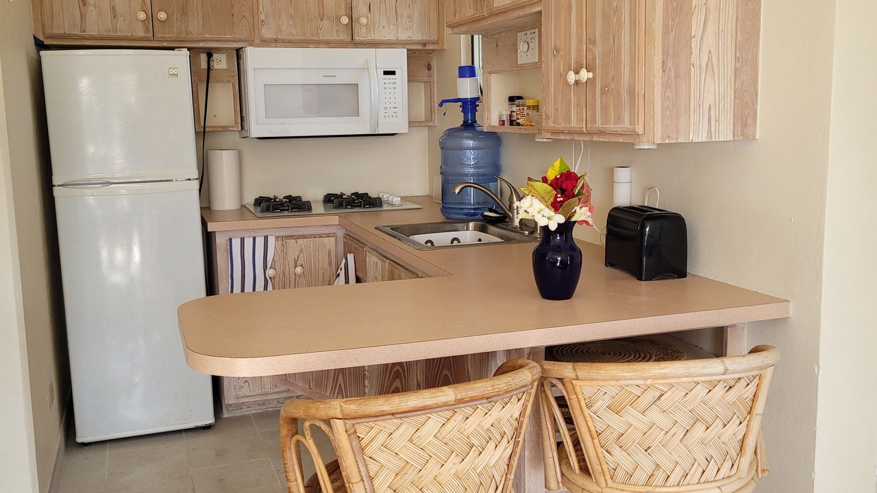 Photo of Kitchen in Double Bay