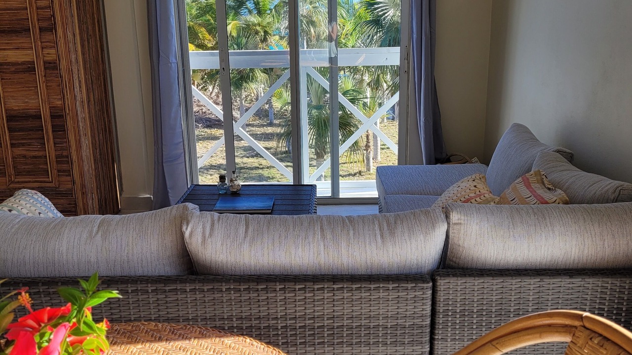 Photo of Livingroom in Double Bay