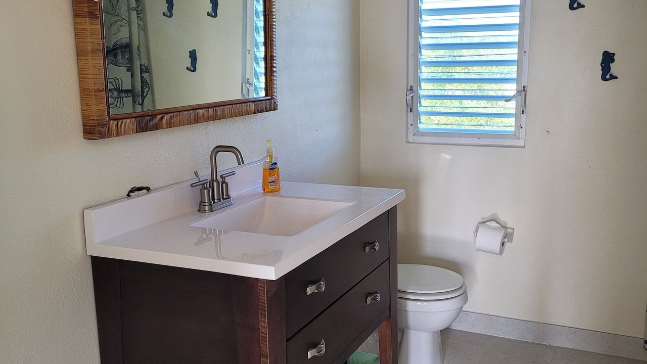 Photo of Bathroom in Double Bay