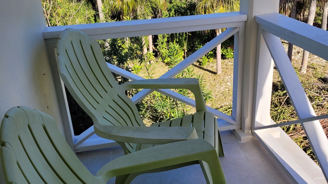 Photo of Outdoor in Double Bay