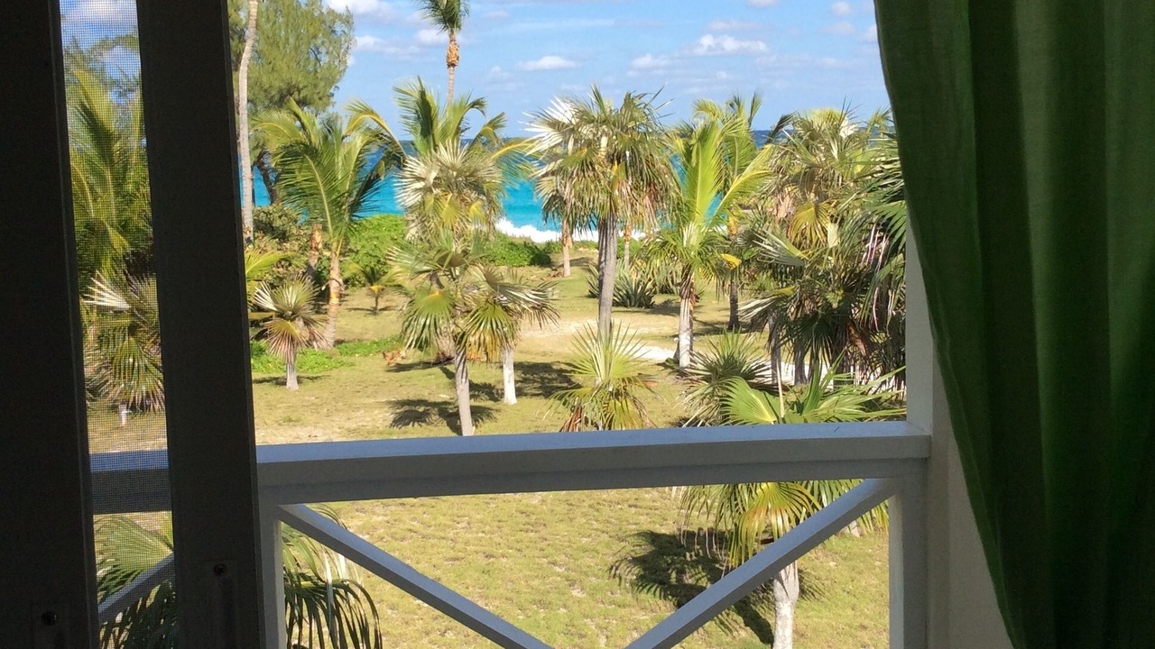 Photo of Others in Double Bay