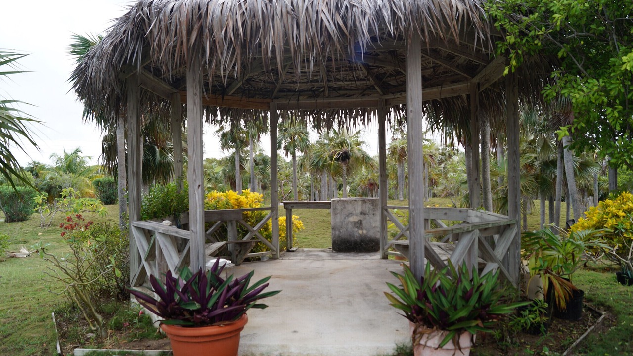Photo of Outdoor in Double Bay