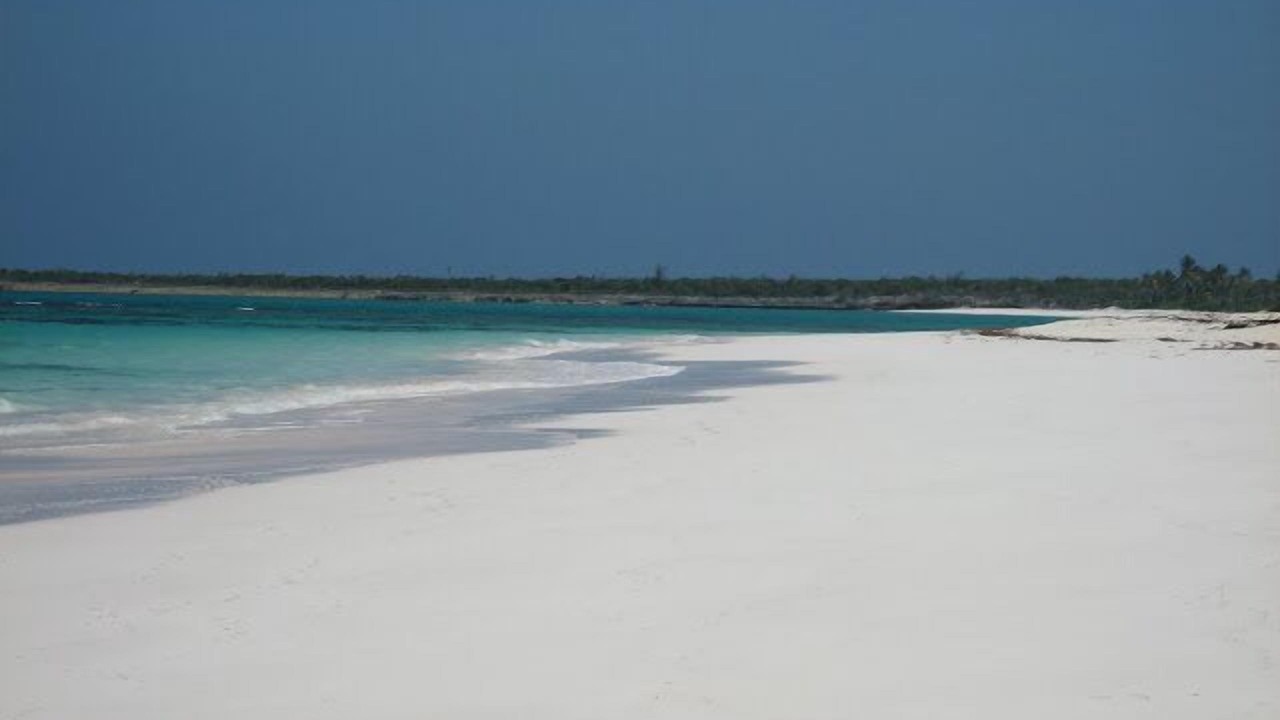 Photo of Others in Double Bay