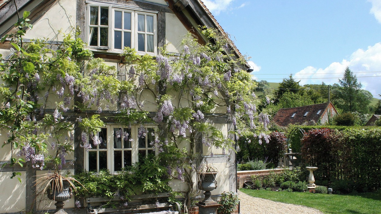 Photo of Outdoor in Turville