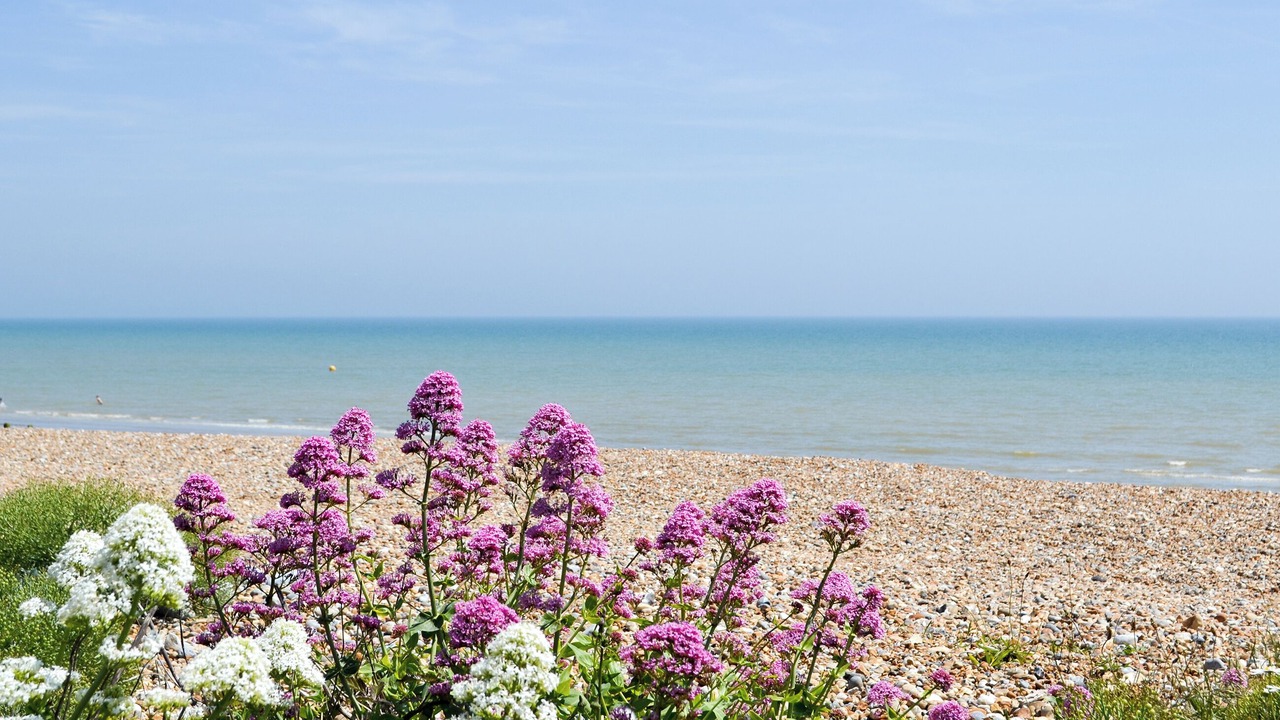 Photo of Others in Pevensey