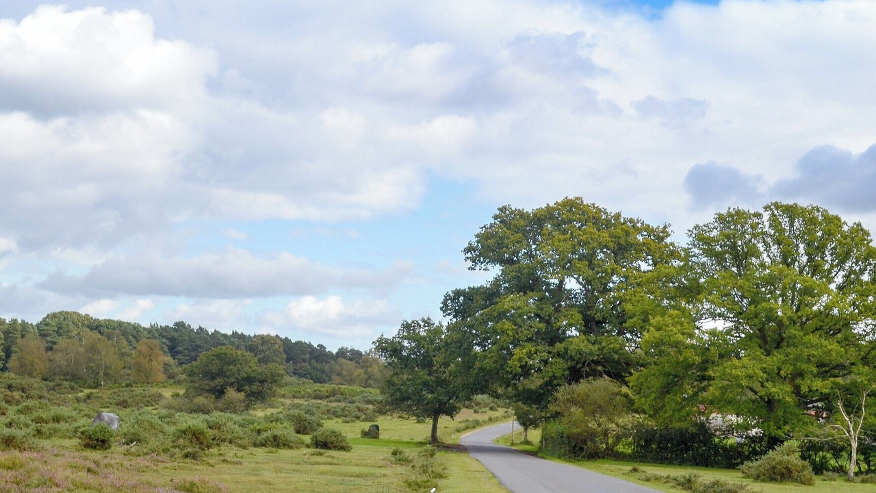 Photo of Others in Burley