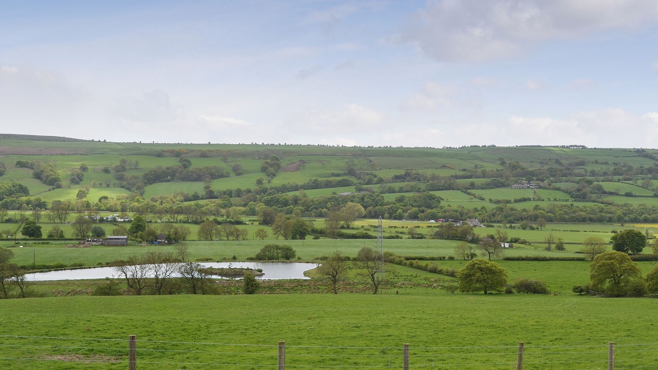 Photo of Others in Wolsingham