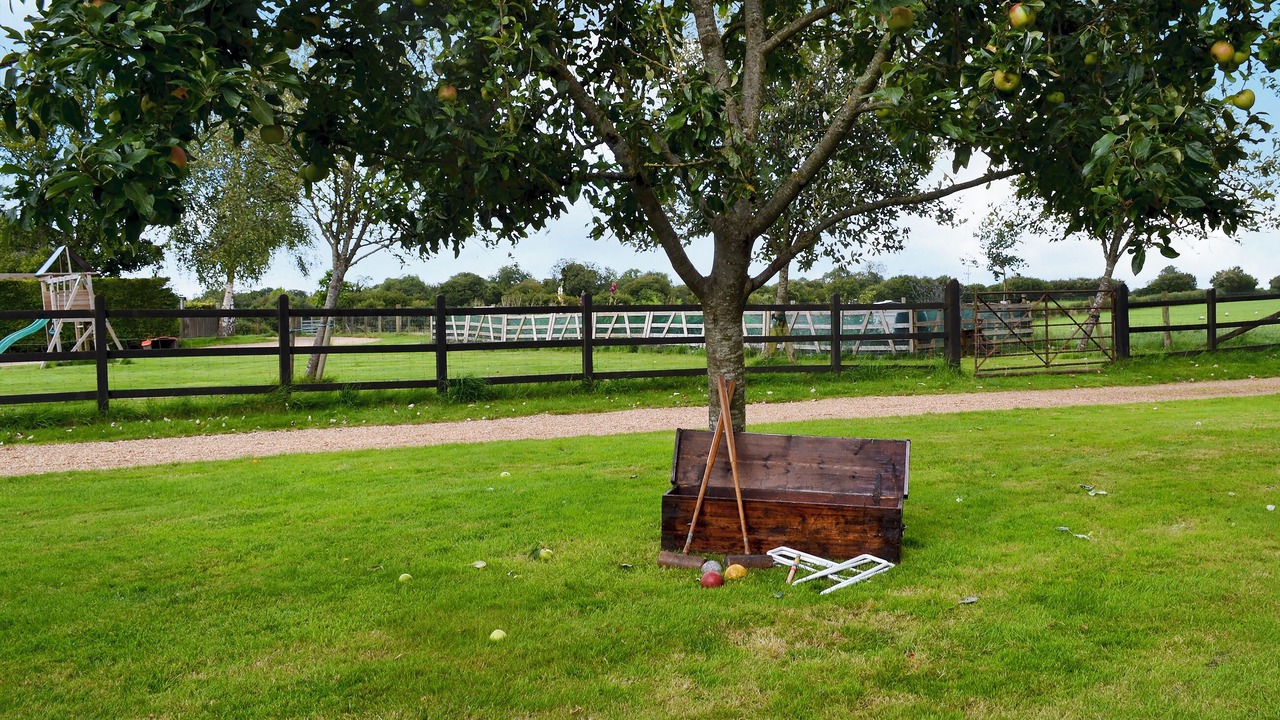 Photo of Outdoor in New Forest District