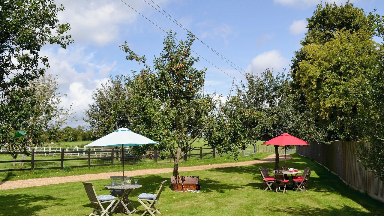 Photo of Outdoor in New Forest District