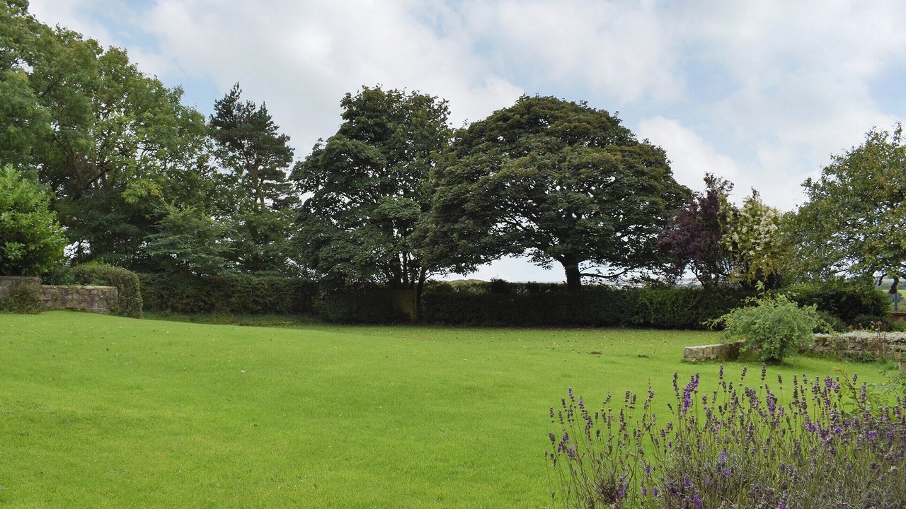 Photo of Outdoor in Loftus