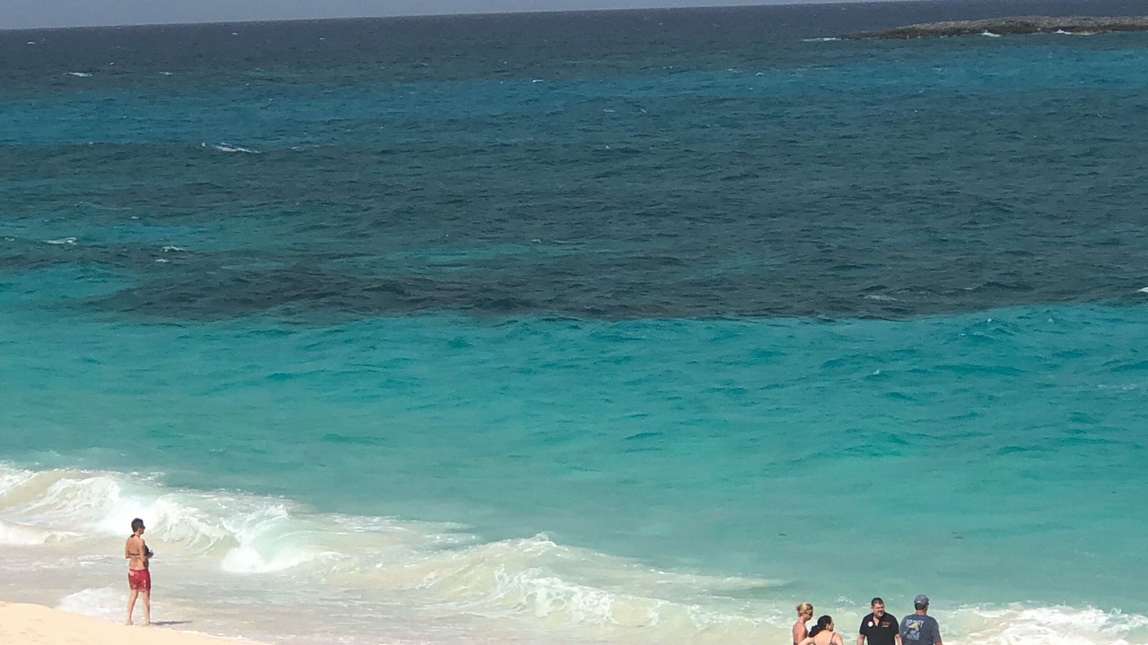 Photo of Others in Paradise Island