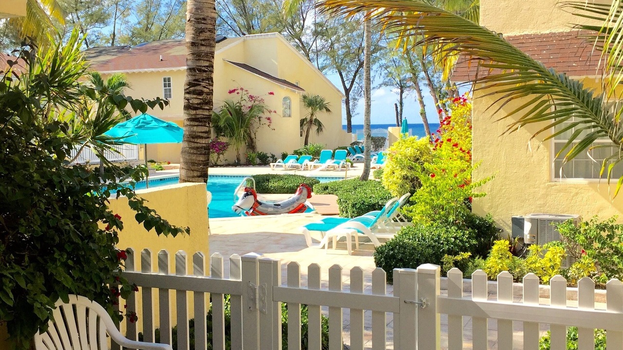 Photo of Others in Paradise Island