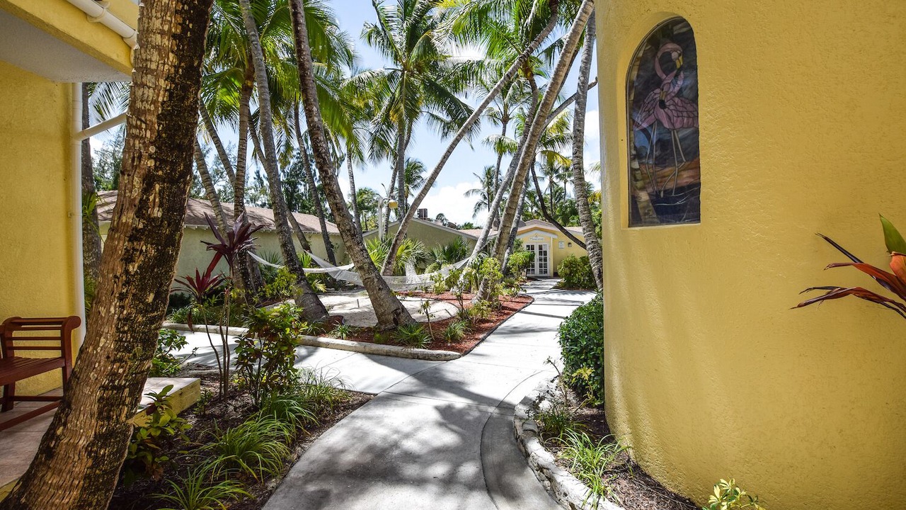 Photo of Others in Paradise Island
