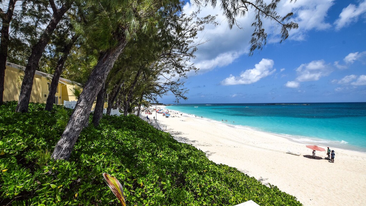 Photo of Others in Paradise Island