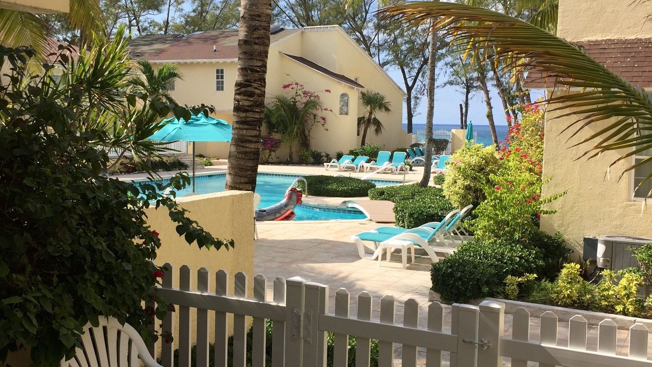 Photo of Others in Paradise Island